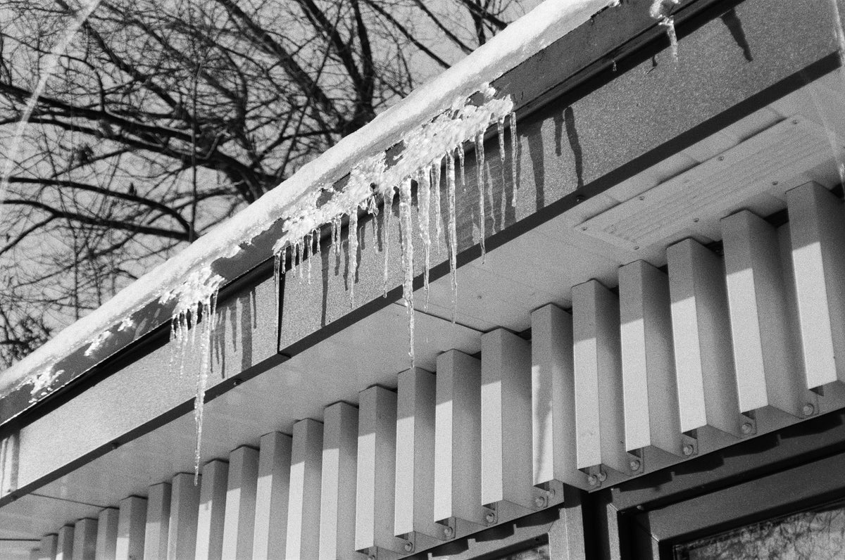 Kentmere 400/135 Film