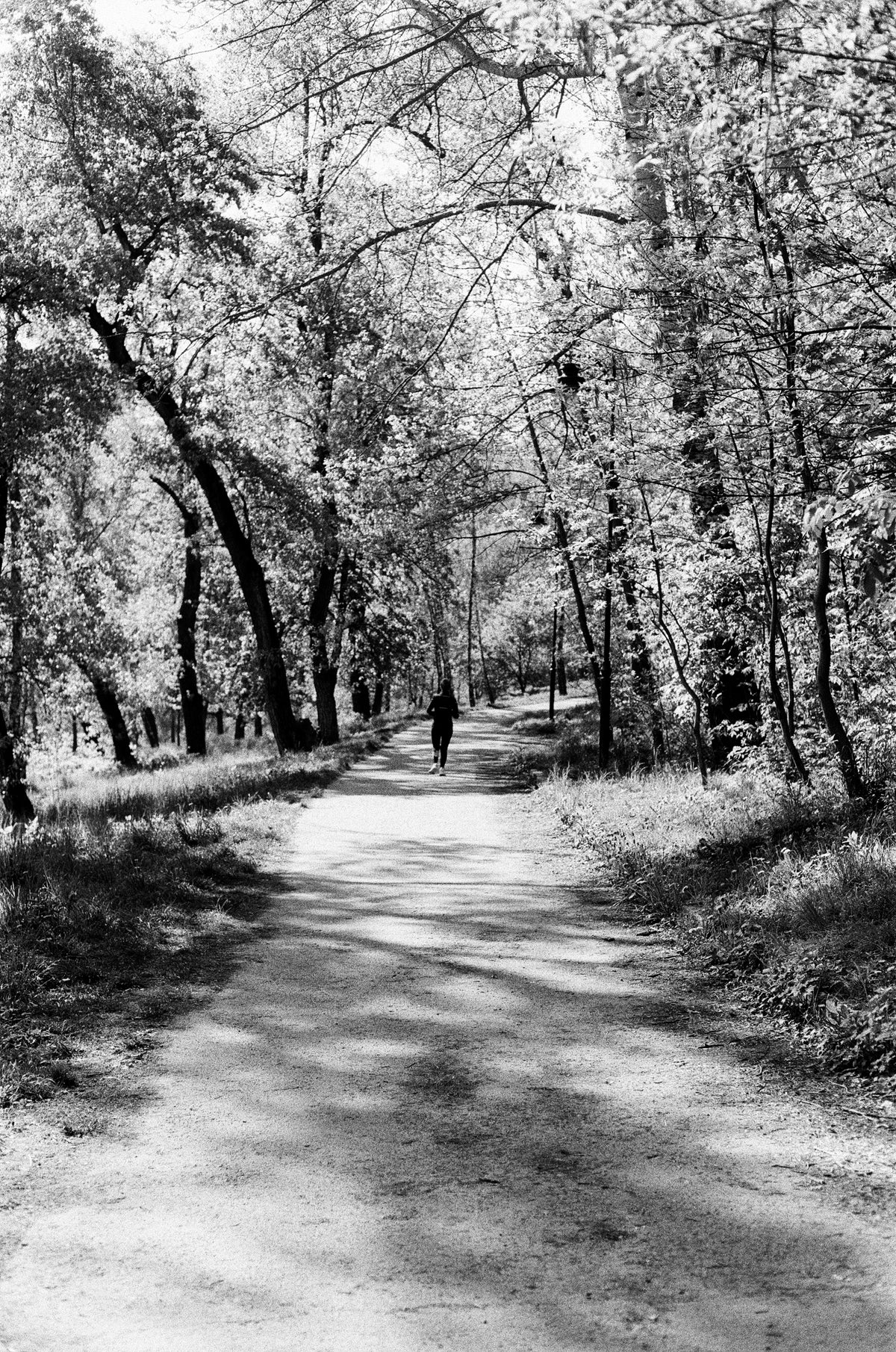 Kodak Eastman Double X 5222 film