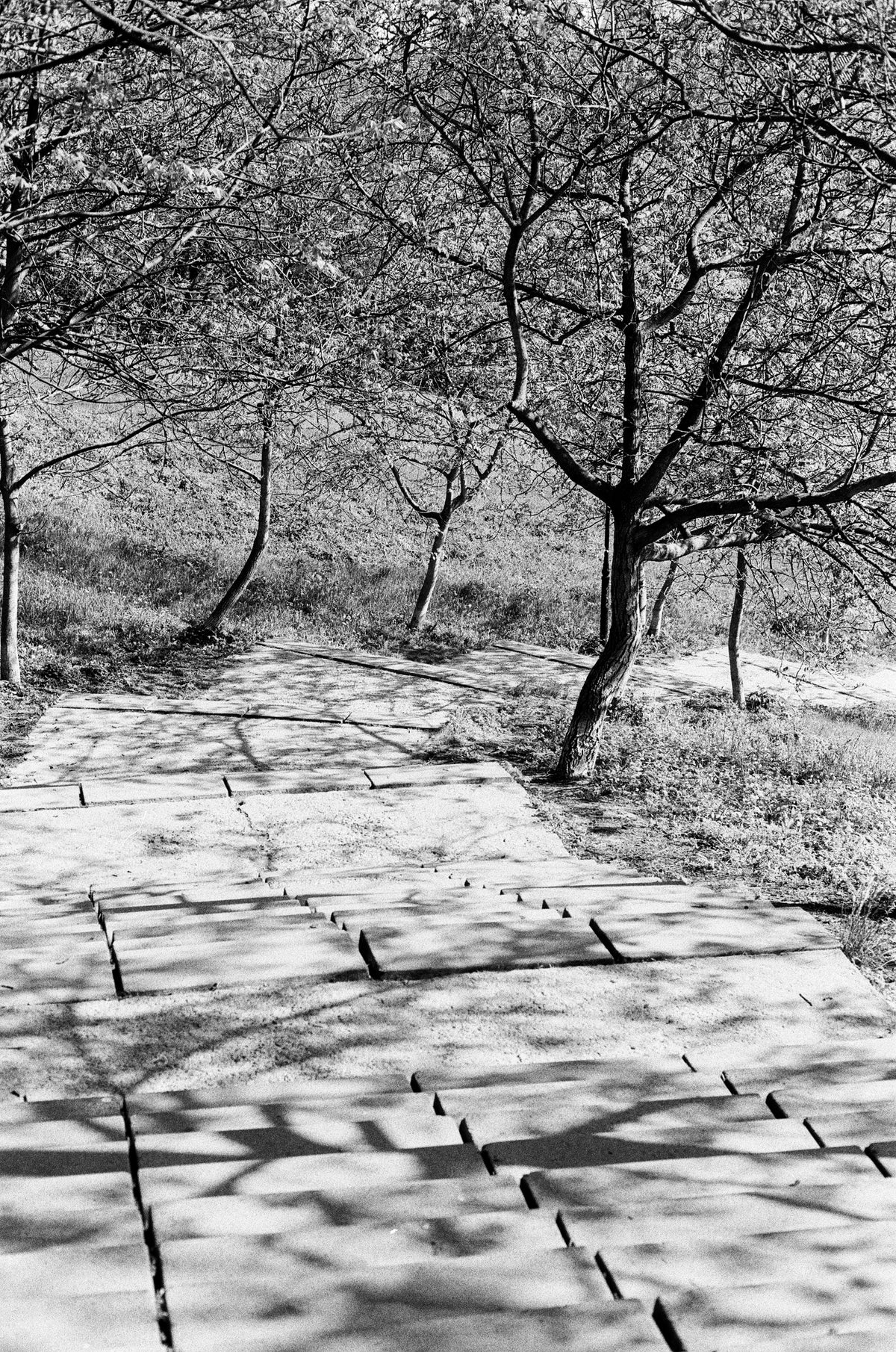 Kodak Eastman Double X 5222 film