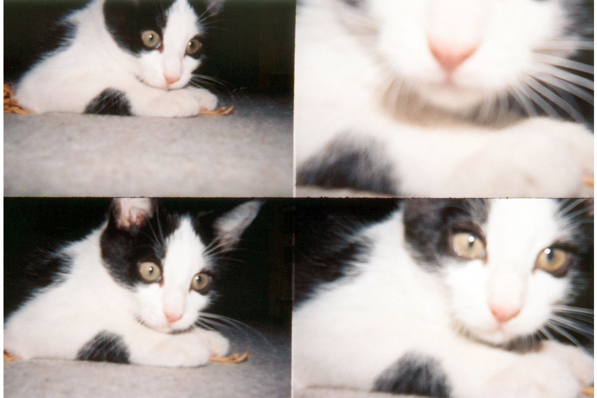 ActionSampler Camera