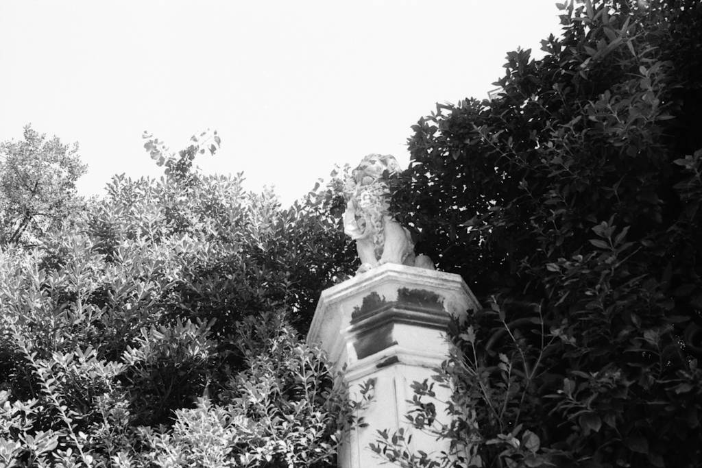 Rollei RPX 100/135 film