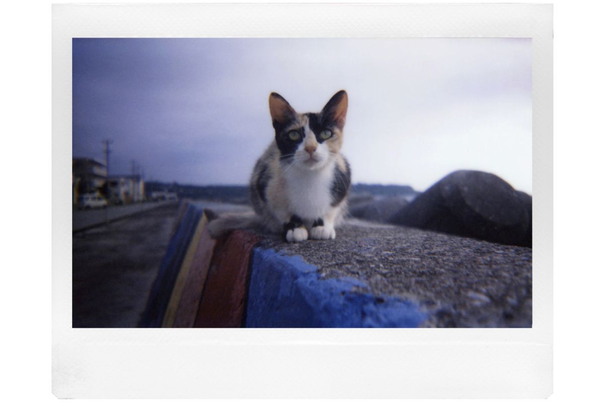 Lomo Instant Wide black Camera
