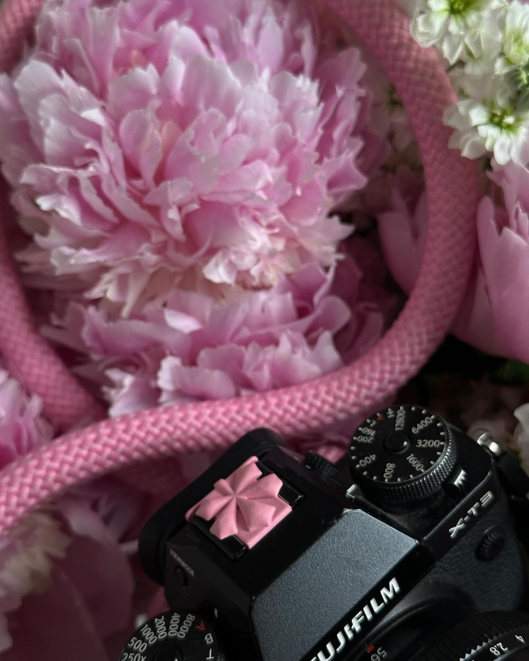 "Chestnut" plug for Native cameras, pink