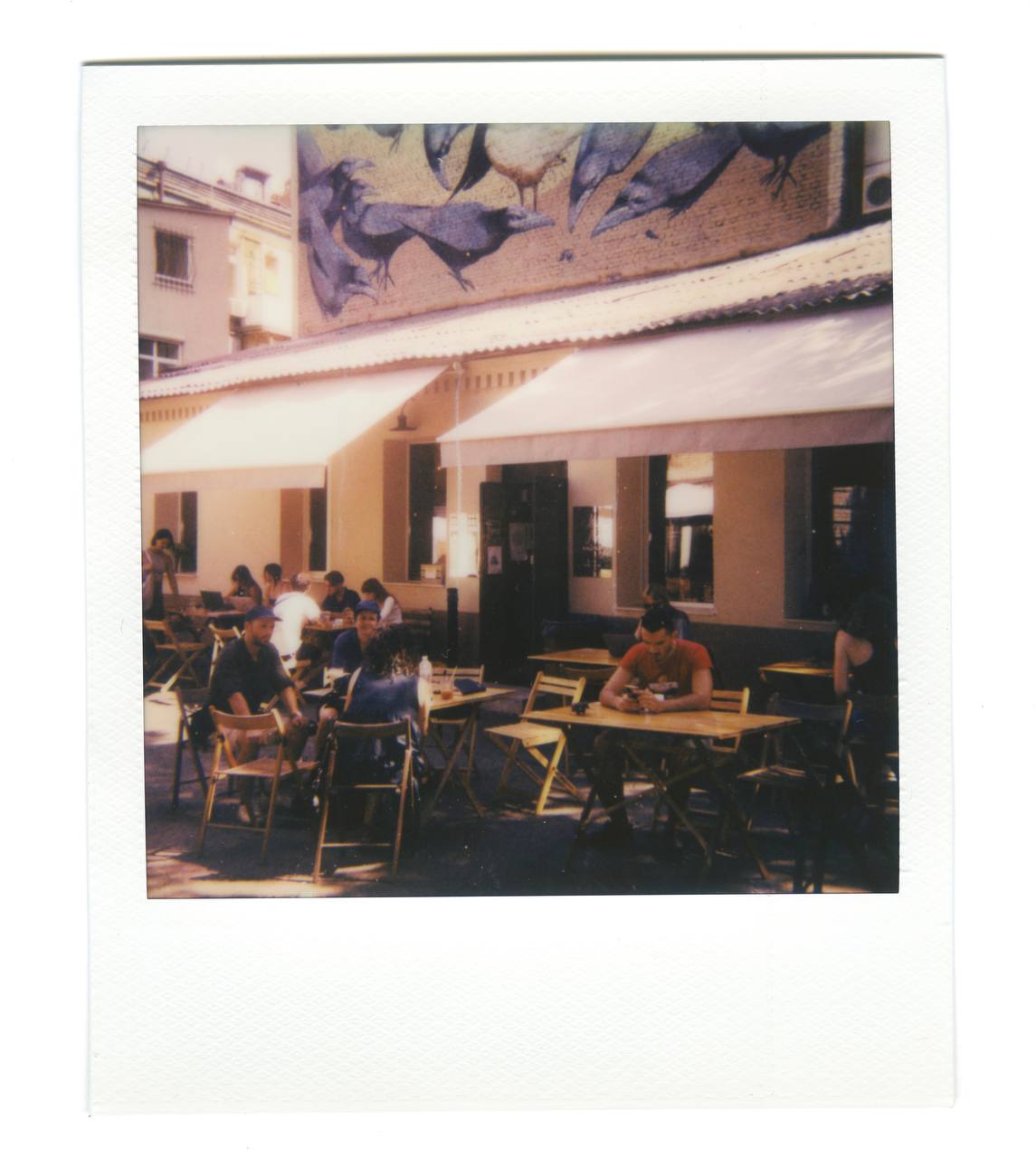Polaroid 636 Closeup Rental
