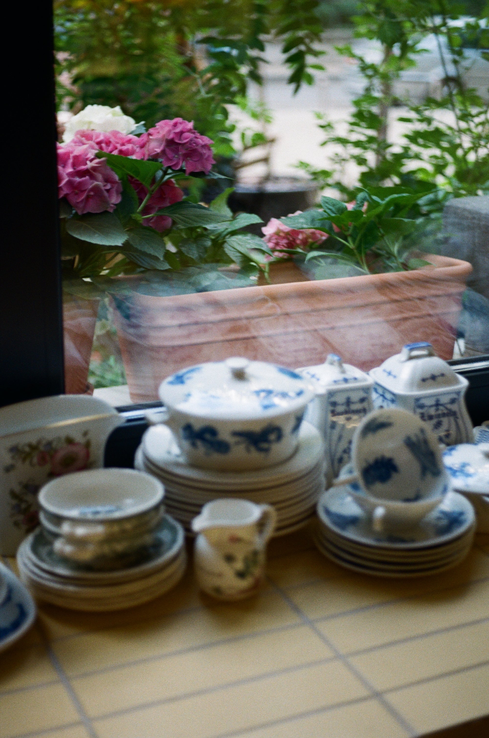 Плівка Fujifilm 200/135