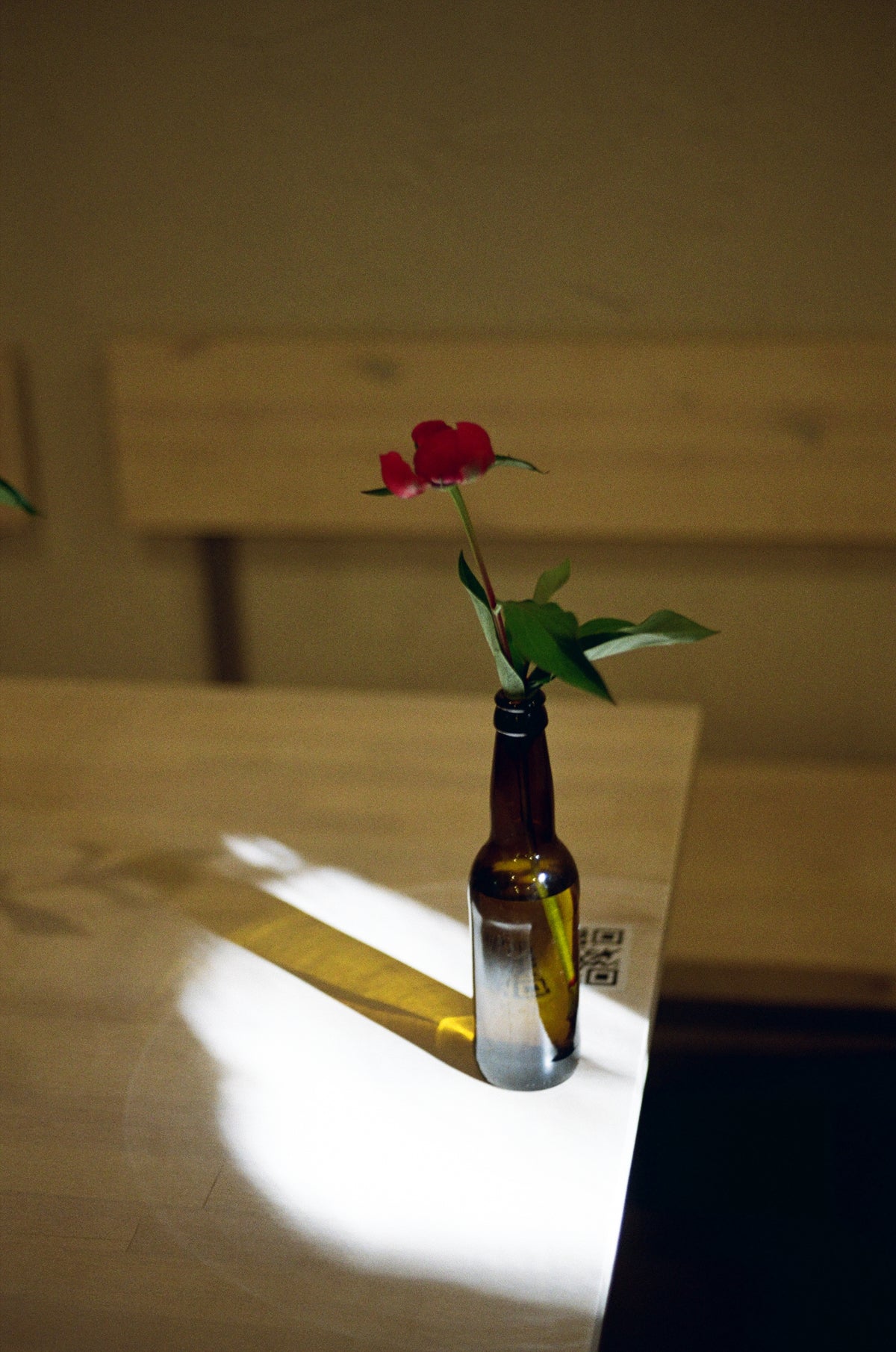 Fujifilm 200/135 Film