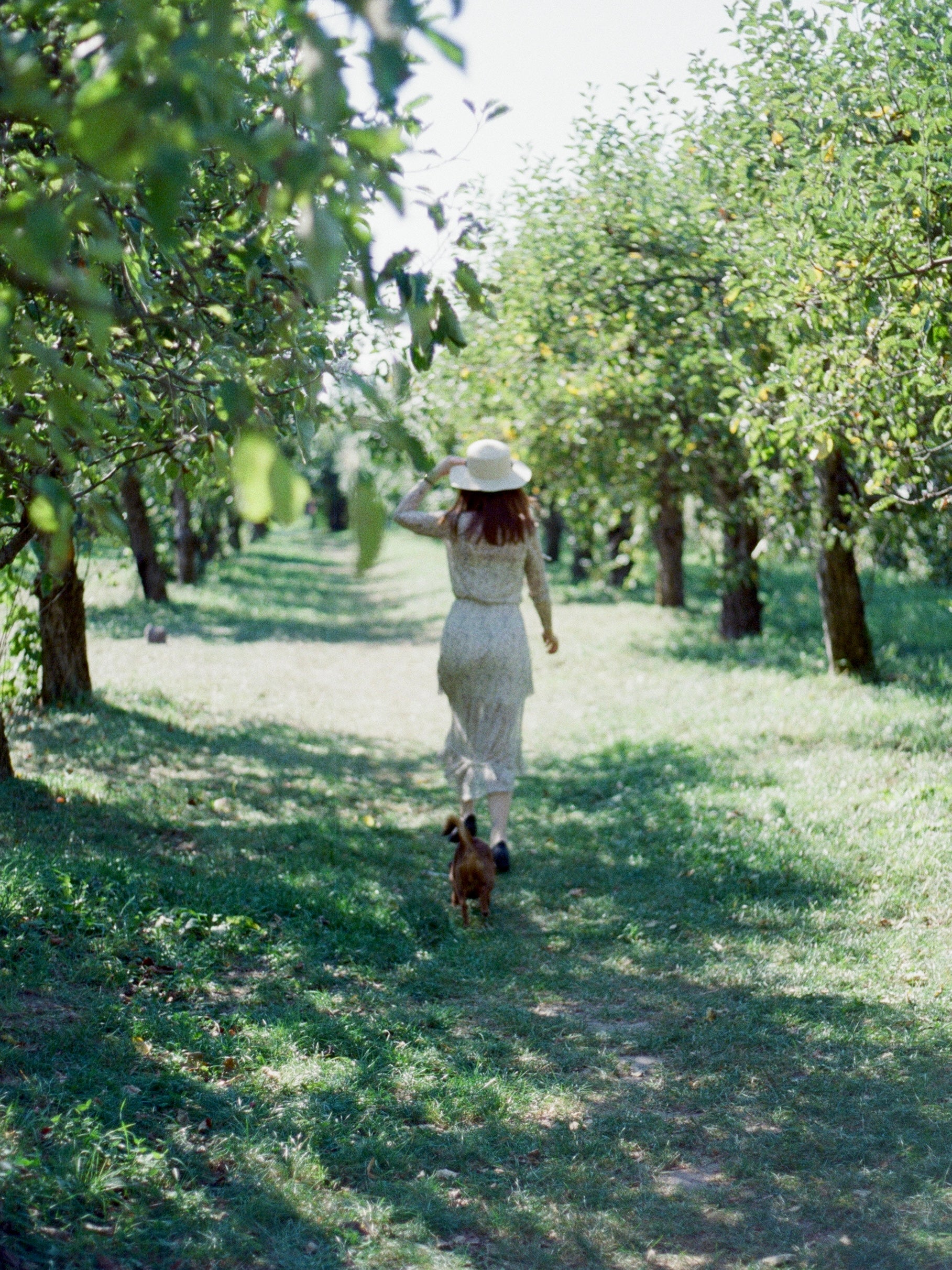 Кіноплівка Kodak CINESHOT 800T/ 135