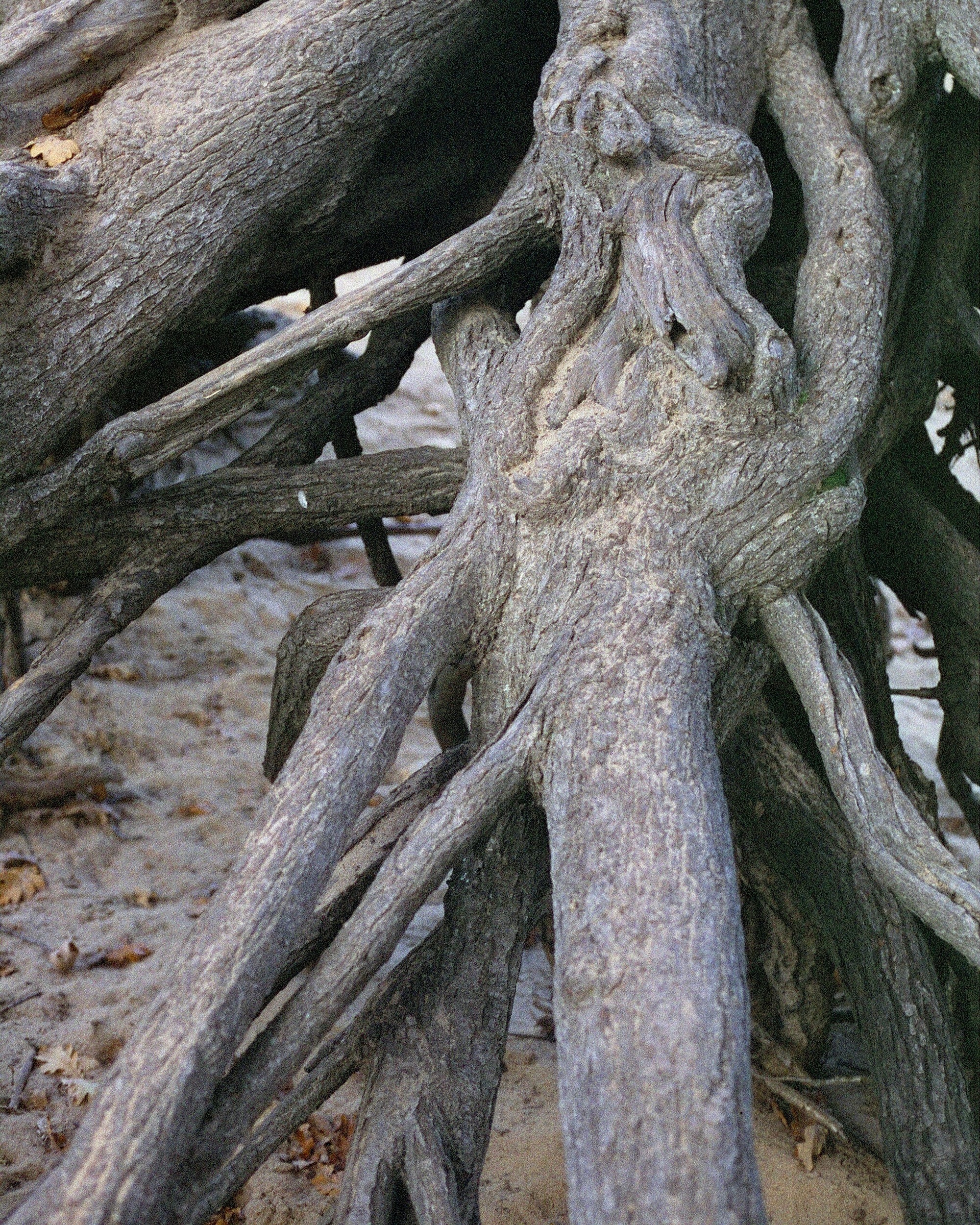 Плівка Ilford PHOENIX II 200\135