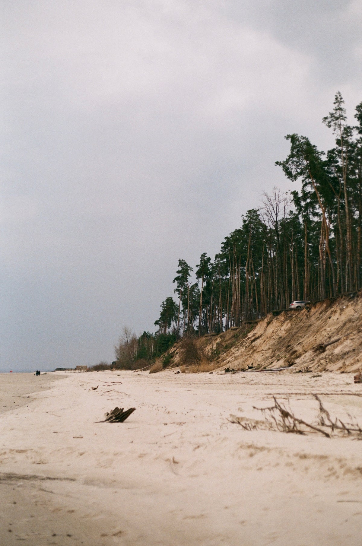 Agfa Vista Plus 200/36 Film - EXPIRED