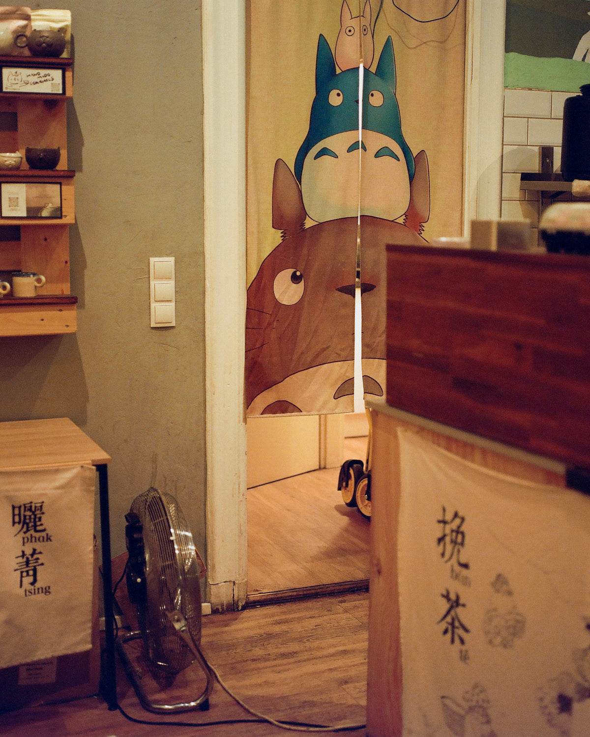 Kodak Ektacolor Pro 800/120 Film