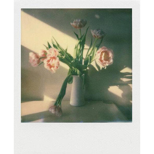 Касета для Polaroid I-Type (40 знімків)