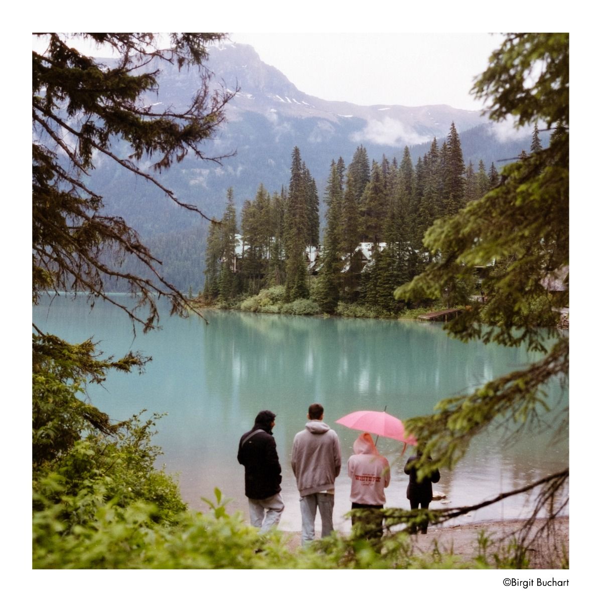 Плівка HARMAN PHOENIX II 200\120