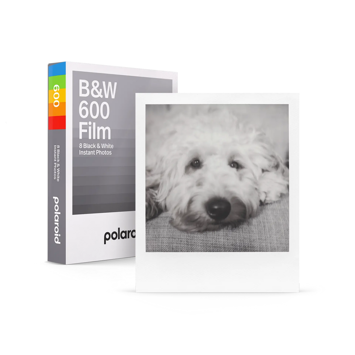 Polaroid 600 series cartridge (black and white)