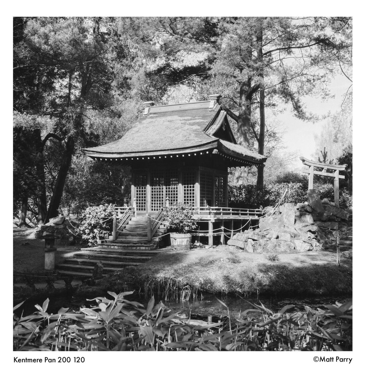Kentmere 200/120 film
