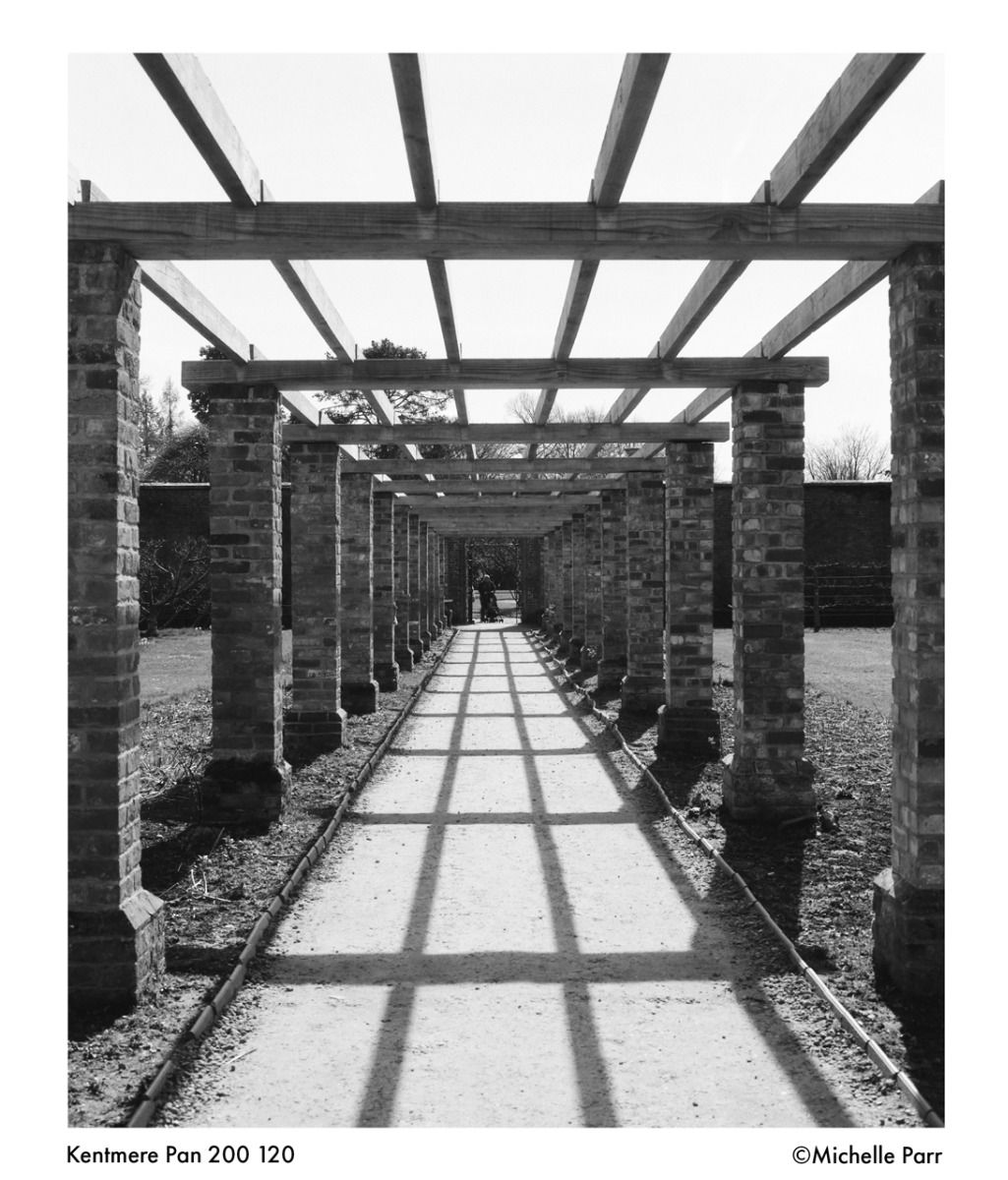 Kentmere 200/120 film