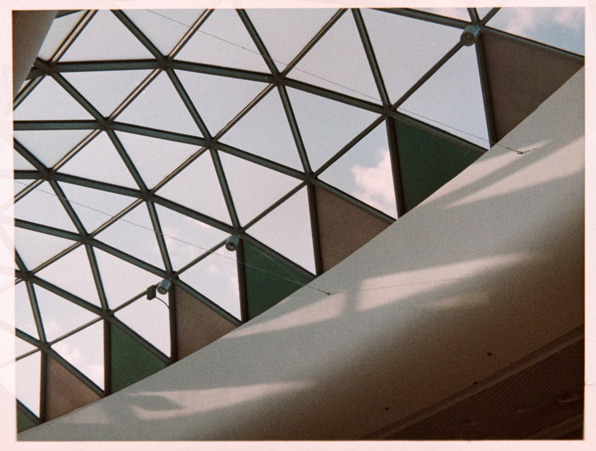 Lomography Color Tiger 200/110 film
