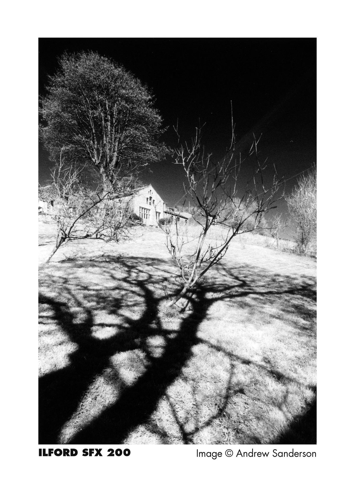 Ilford SFX 200/120 Film