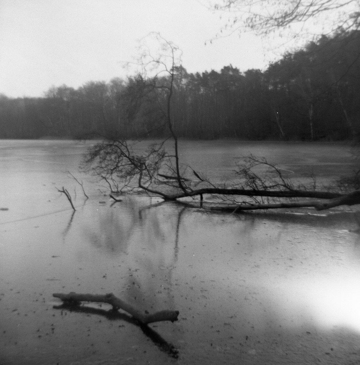 Плівка Fomapan Retro 100/120 Fotovramke 