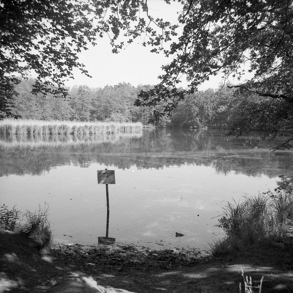 Плівка Fomapan Retro 100/120 Fotovramke 