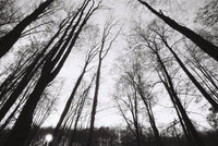 Плівка Etude PAN 400 Fotovramke 