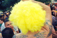 Revolog Rasp 200/35 Fotovramke 