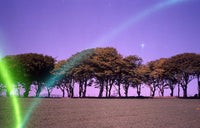 Revolog Lazer 200/135 Fotovramke 