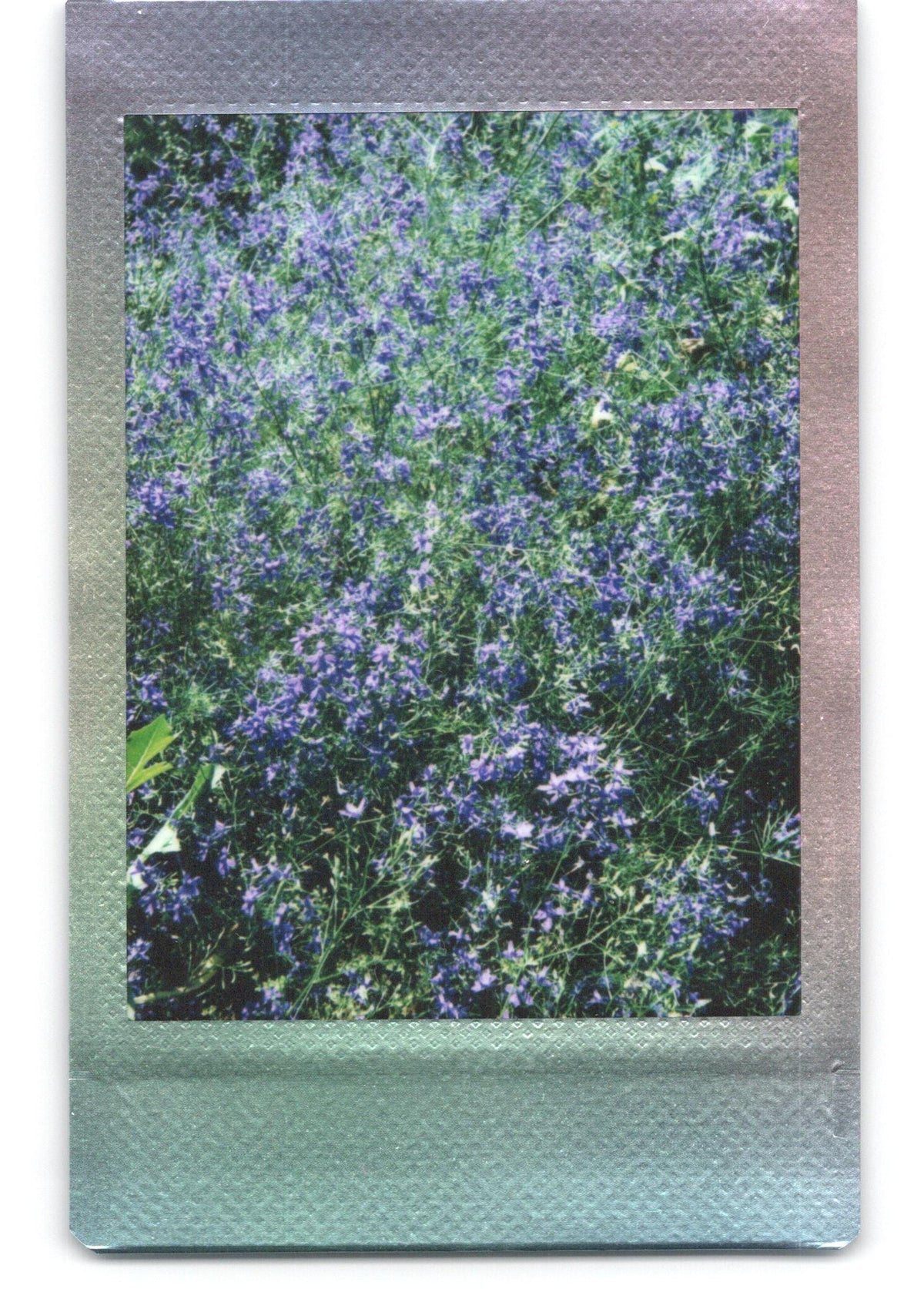 Касета Fujifilm Instax Mini Mermaid Tail Fotovramke 