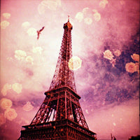 Diana Mini & Flash Premier Cru Fotovramke 