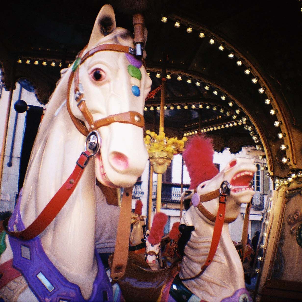Камера Diana Mini and Flash Fotovramke 