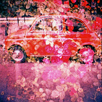 Камера Diana Mini and Flash Fotovramke 