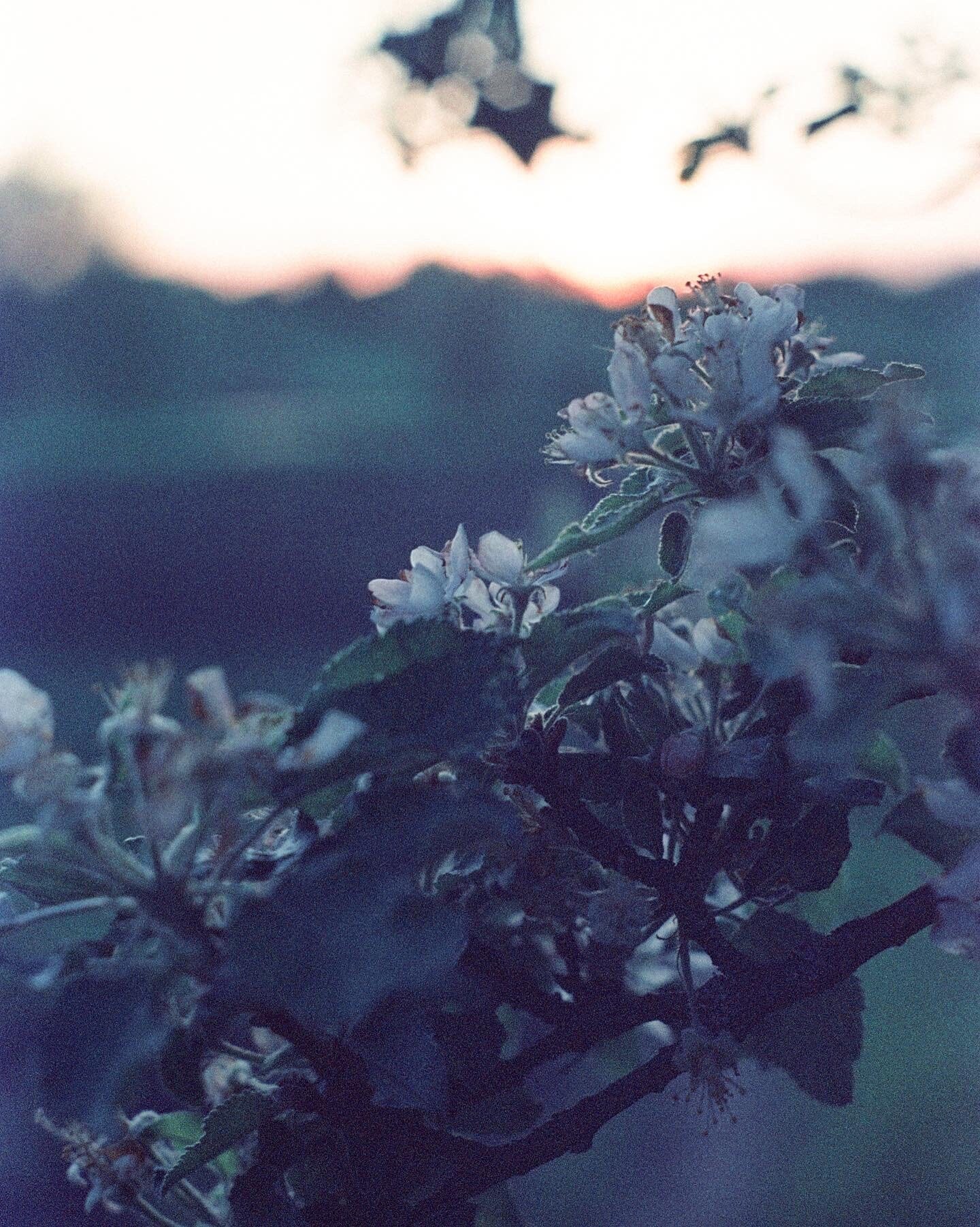 Плівка Панорама 100Т Fotovramke 