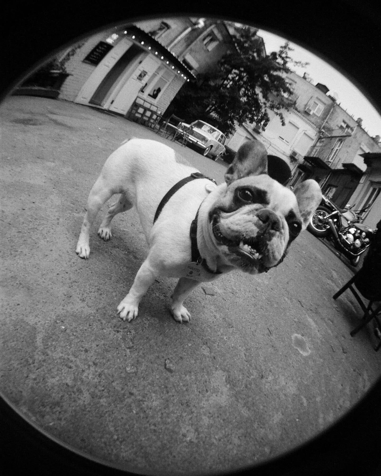 Fisheye 2 Acapulco La Quebrada Fotovramke 