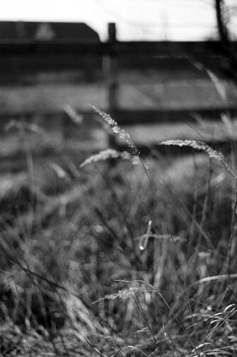 Плівка Ilford PANF PLUS 50/135 Fotovramke 