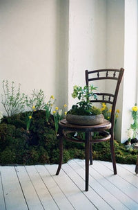 Плівка Kodak Portra 800/135 Fotovramke 