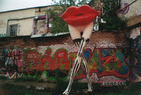 La Sardina Capri Fotovramke 