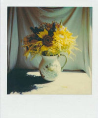 Polaroid SX-70 (кольорова) Fotovramke 