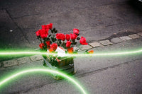 Revolog Lazer 200/135 Fotovramke 