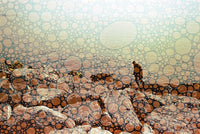 Revolog Texture 200/135 Fotovramke 