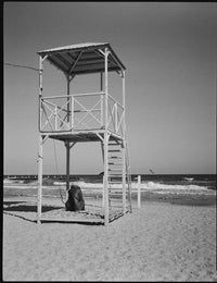 Плівка Rollei RPX 400/120 Fotovramke 