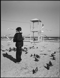 Плівка Rollei RPX 400/120 Fotovramke 