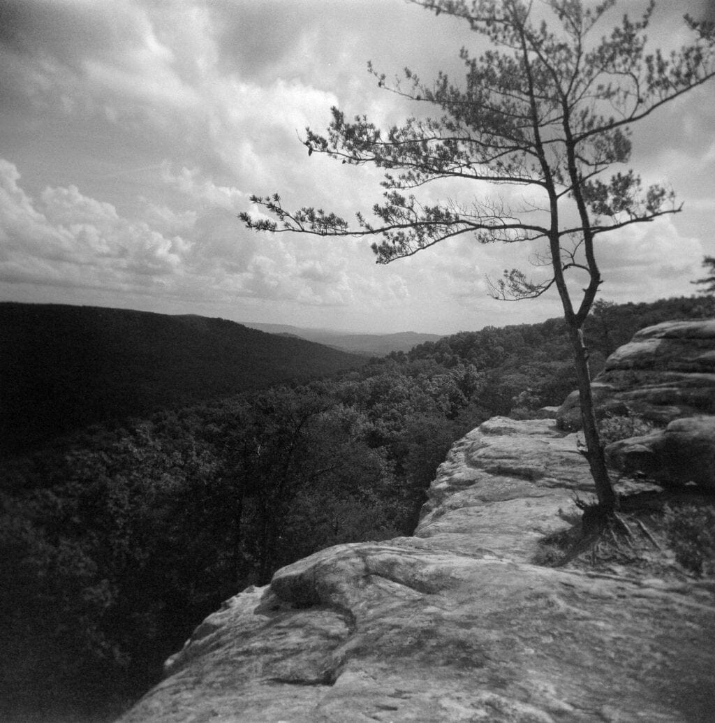 Плівка Bergger Pancro 400/120 Fotovramke 