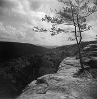 Плівка Bergger Pancro 400/120 Fotovramke 