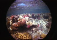 Бокс Fisheye для подводной съемки Fotovramke 