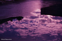 Revolog Dubblefilm Bubblegum 200/36 Fotovramke 