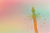 Revolog Dubblefilm Jelly 200/36 Fotovramke 