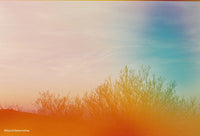 Revolog Dubblefilm Jelly 200/36 Fotovramke 