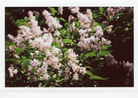 Камера Fulifilm Instax Wide 300, чорна Fotovramke 