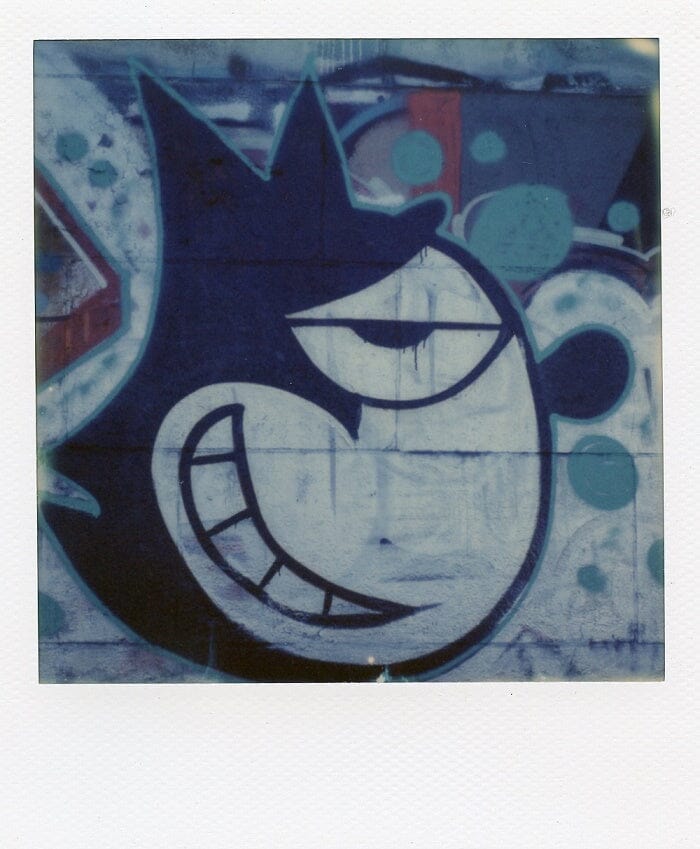 Polaroid SLR 680 Fotovramke 