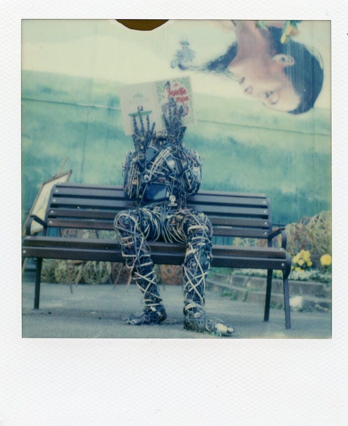 Polaroid SLR 680 Fotovramke 