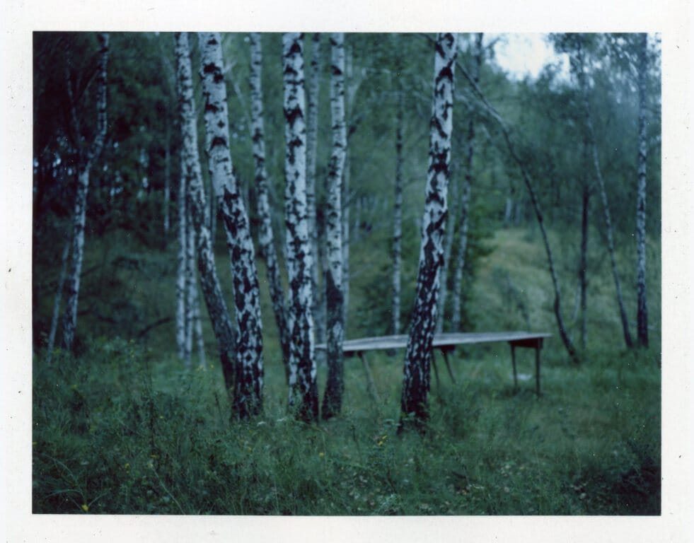 Fujifilm FP-100C (цветные) Fotovramke 